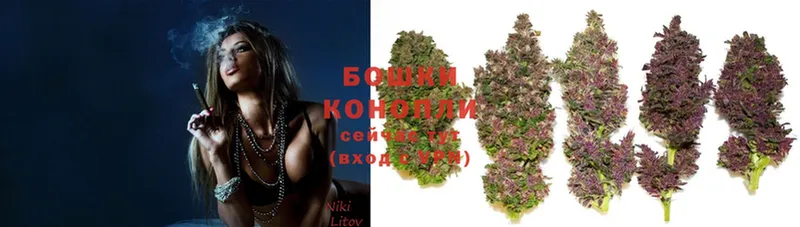 Бошки марихуана White Widow  kraken ONION  Зеленокумск 